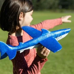 Airglider - Haj