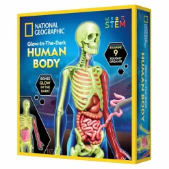 Anatomisæt - Bliv klogere på kroppen