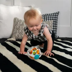 Baby Einstein - Roxys gyroskop