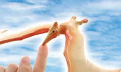 Balancerende flyveøgle, Pteranodon