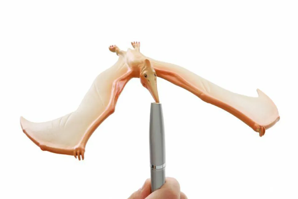 Balancerende flyveøgle, Pteranodon