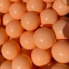 Boldbassin bolde Ø7 cm - Orange, 100 stk