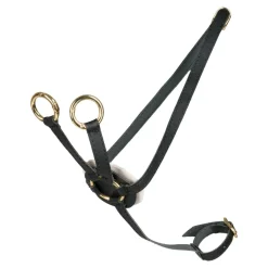 Cheval Roi tilbehør - Martingal, Sort/guld