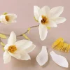 Crepepapir mini - Magnoliagren