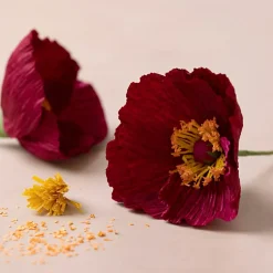 Crepepapir mini - Valmuer