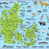 Dækkeserviet - Danmark