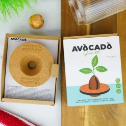 Dyrk din egen avocadoplante