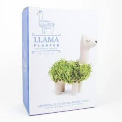 Dyrk en chia-lama