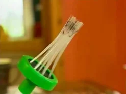 Edderkoppefanger