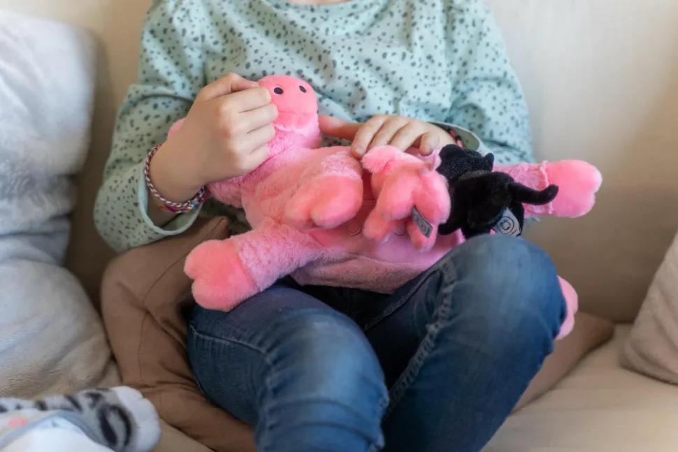Familiebamse - Grisemor med pattegrise