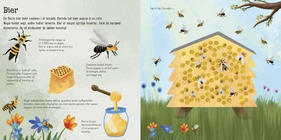 Flapbog - Jeg ser på... Små insekter