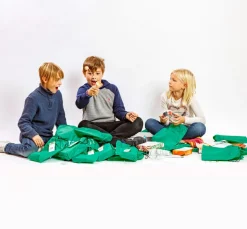 Forskerfabrikkens Julekalender - 12 dage