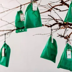 Forskerfabrikkens Julekalender - 24 dage