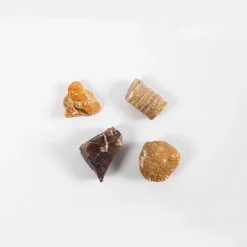 Forskerkit D - Naturfag