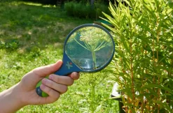 Forstørrelsesglas Ø 9,5 cm