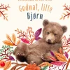 Godnat, lille Bjørn