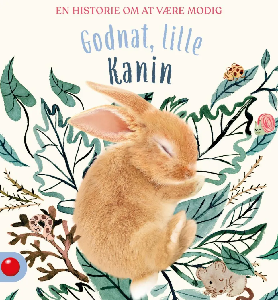 Godnat, lille Kanin