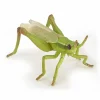 Græshopper - L: 6,5 cm