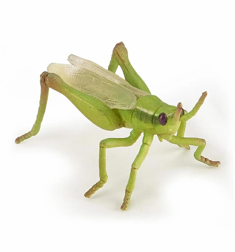 Græshopper - L: 6,5 cm