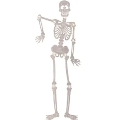 Halloween-ophæng - Skelet (selvlysende), 90 cm