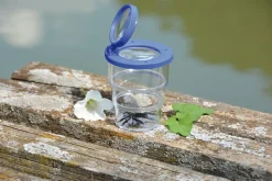 Insektglas, foldbart - Ø 7 cm.