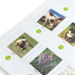 Interaktiv tavle - optag og afspil