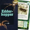 Kortspil - Edderkopper