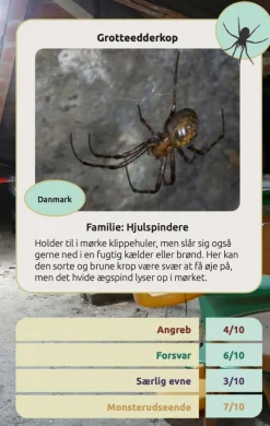 Kortspil - Edderkopper