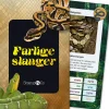 Kortspil - Farlige slanger