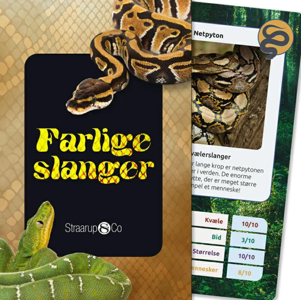 Kortspil - Farlige slanger