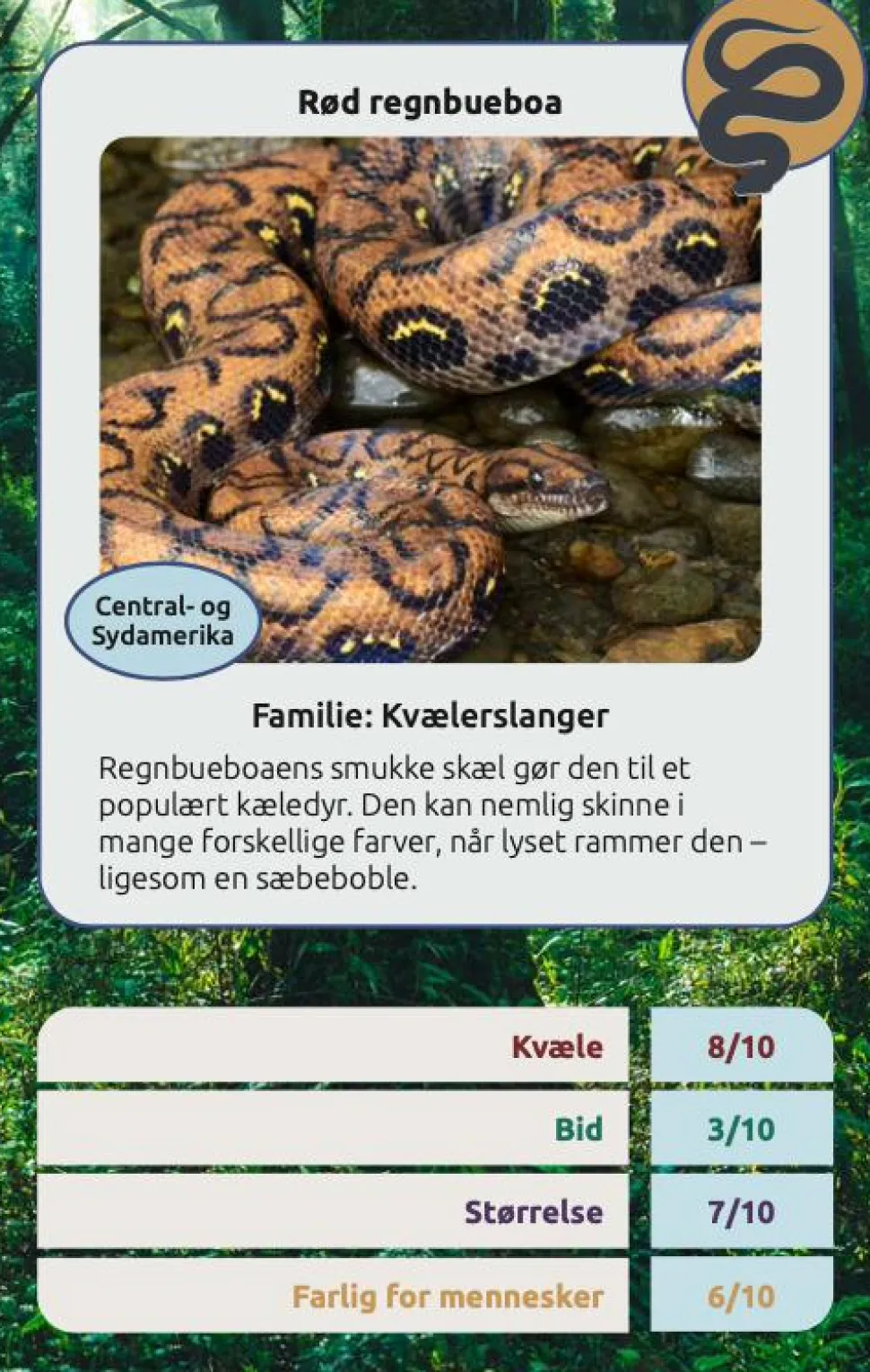 Kortspil - Farlige slanger