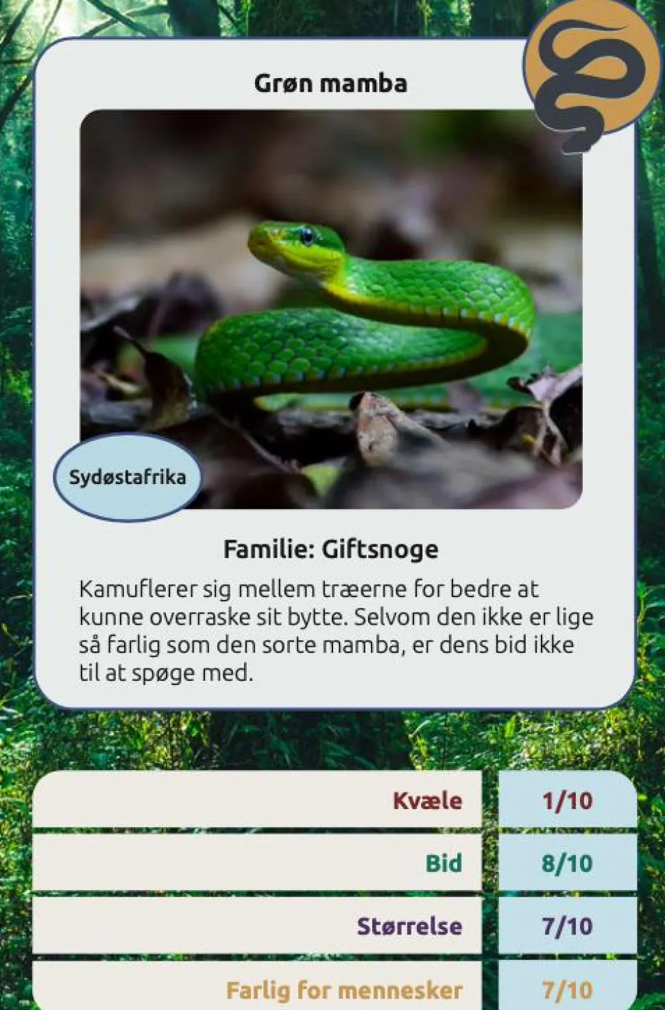 Kortspil - Farlige slanger