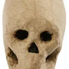 Kranium i papmaché - H: 10 cm.