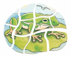 Lag puslespil - Frøens livscyklus