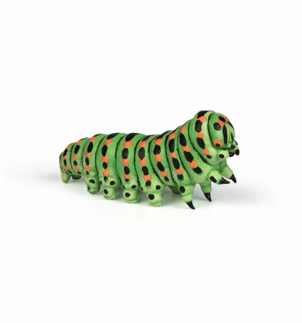 Larve - L: 4,5 cm