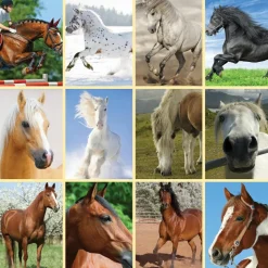 Lommelygte med dias - Hest