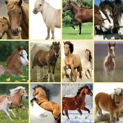 Lommelygte med dias - Hest