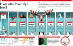 Lort! Skidesjove fakta om at lave stort