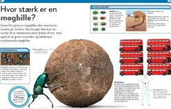 Lort! Skidesjove fakta om at lave stort