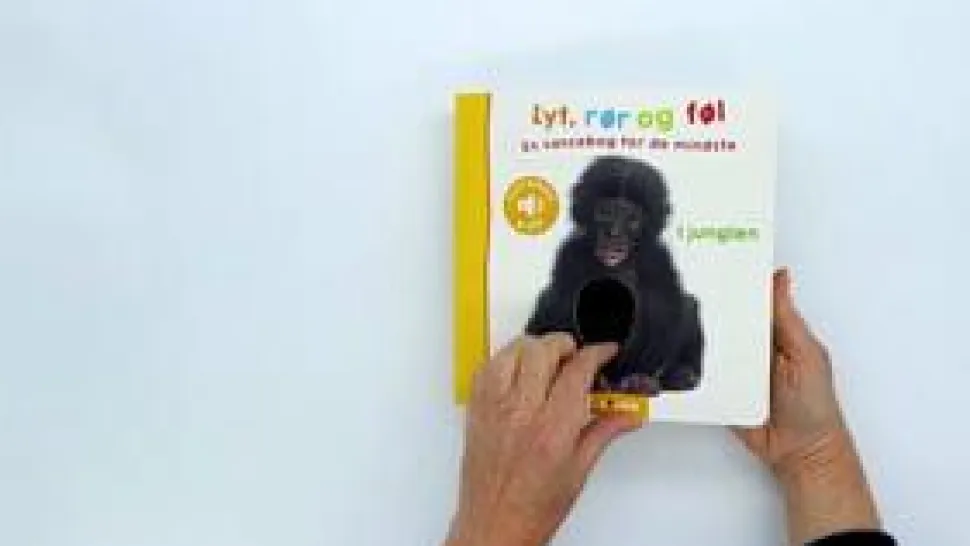 Lyt, rør og føl - I junglen