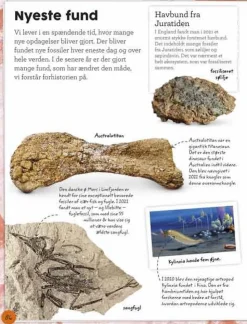 Min bog om fossiler