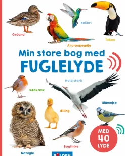 Min store bog med fuglelyde