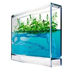 Myreakvarium med planter