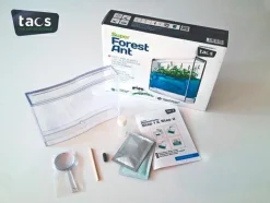 Myreakvarium med planter