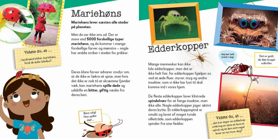 Nu bliver det sjovt! Krible-krable dyr