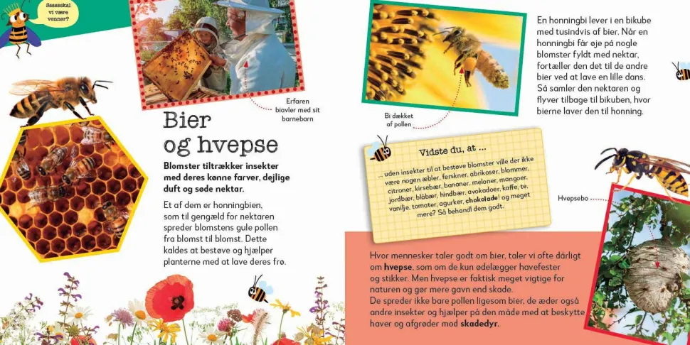 Nu bliver det sjovt! Krible-krable dyr