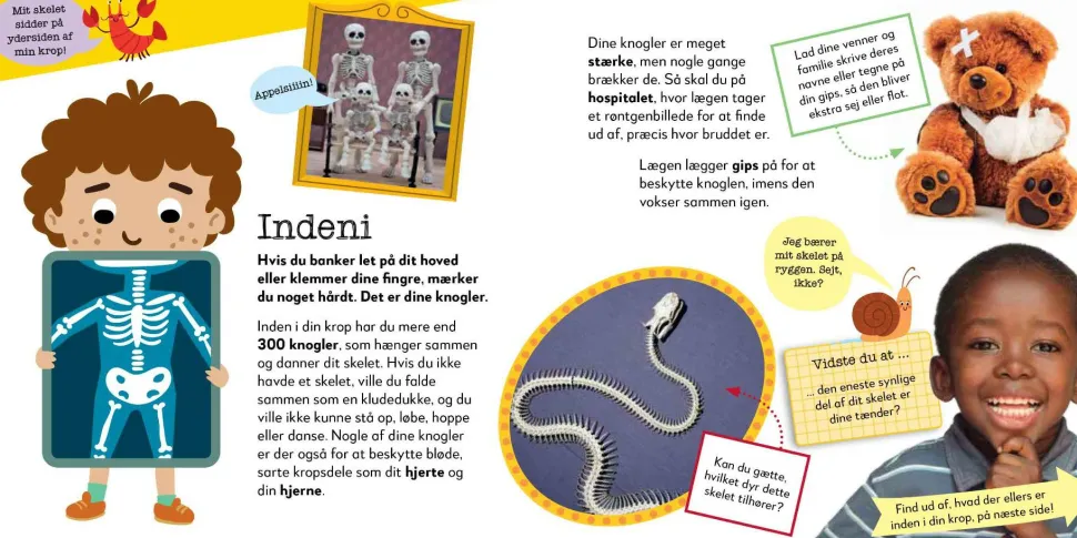 Nu bliver det sjovt! Kroppen