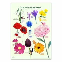 Plakat 50 x 70 cm - Farverne og blomsterne