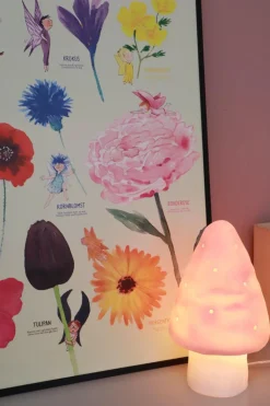 Plakat 50 x 70 cm - Farverne og blomsterne