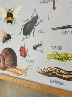 Plakat 50 x 70 cm - Smådyr omkring dig
